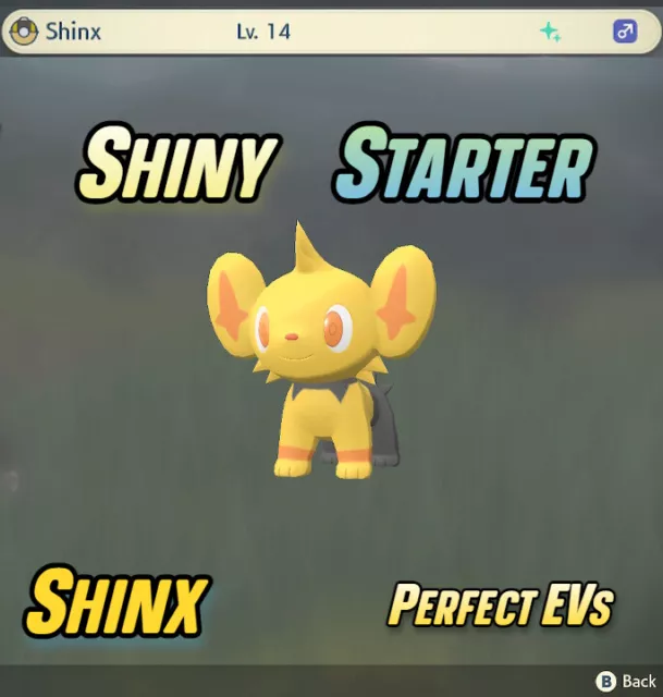 Shiny Pichu Alpha Best Stats // Pokemon Legends: Arceus // 