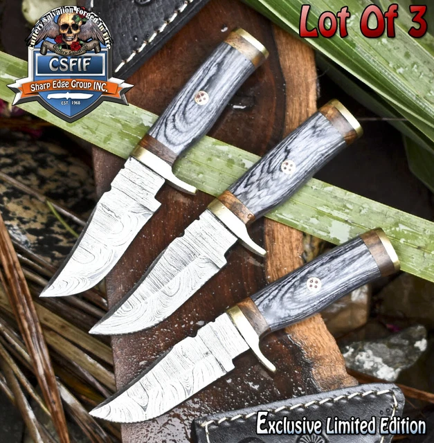 CSFIF Hand Crafted Skinner Knife Damascus Ash Wood Brass Guard Lot of 3 Hiking
