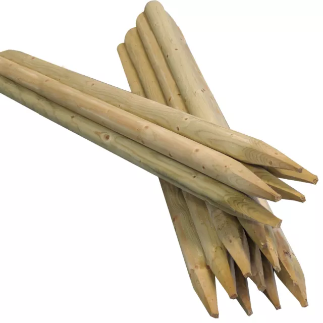 Round Fence Posts | 1.65m x 75mm | 50 Pack | Pointed Stakes