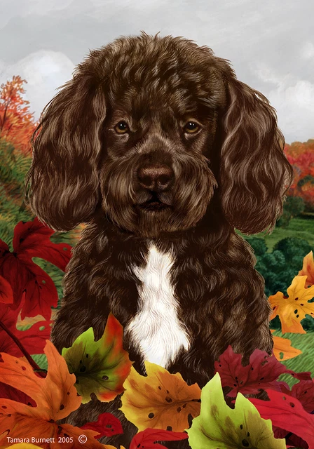 Fall Garden Flag (TB) - Bearded Chocolate and White Portuguese Water Dog 139131