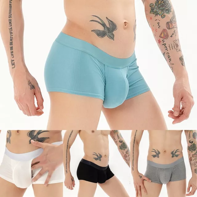 Sexy Mens Underwear Breathable Boxer Briefs Shorts Bulge Pouch Soft Underpants