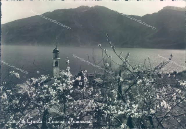 ab160 cartolina lago di garda limone provincia di brescia