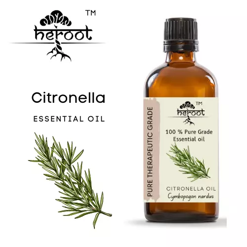 Citronella 100% Pure Essential Oil Natural Therapeutic Grade Promote wound heal