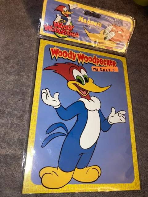 Vintage Woody Woodpecker Magnet Set NOS Sealed - Retro Collectible Kids Souvenir