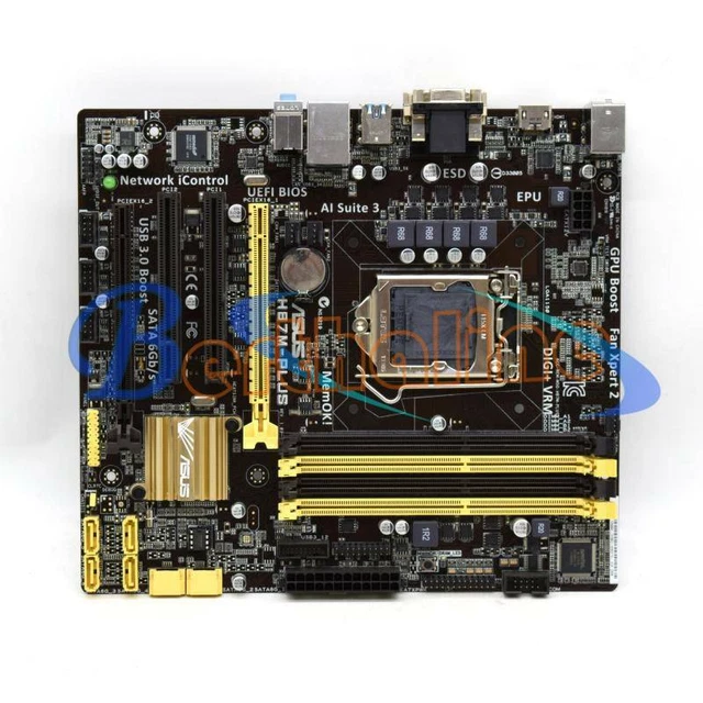 ASUS H87M-PLUS VGA DVI DDR3 LGA 1150 scheda madre micro-ATX testata EUR ...