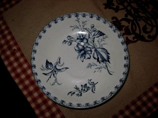 ASSIETTE SOUCOUPE CALOTTE  BLEUE ANCIEN SARREGUEMINES FLEUR 19 ème siè VEGA  U&C