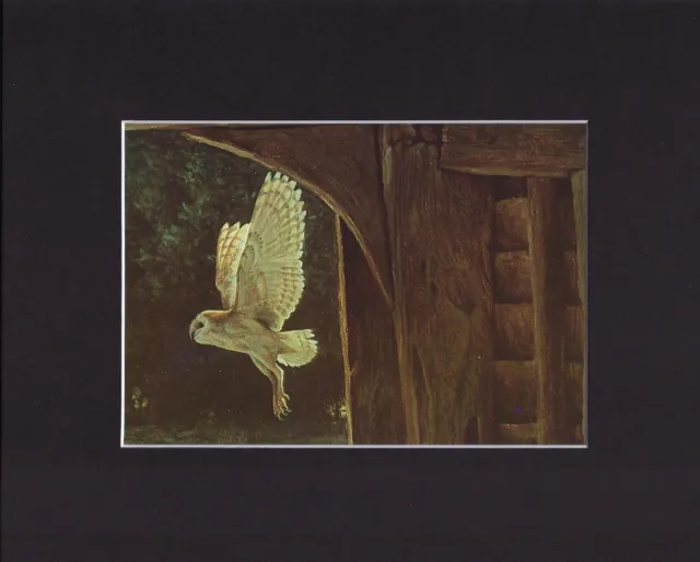 8X10" Matted Print Art Painting Picture, Robert Bateman: Barn Owl, 1979