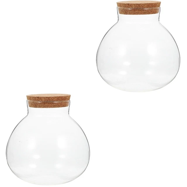 2x Multi usage Creative Verre Mousse Bouteille Plante Terrarium Pour DIY