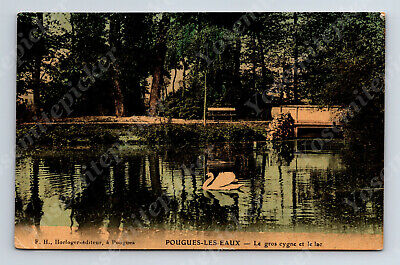 Wd2 Postcard 1940's ?  Pougues Les Eaux Le Gros cygne et la lac  017a