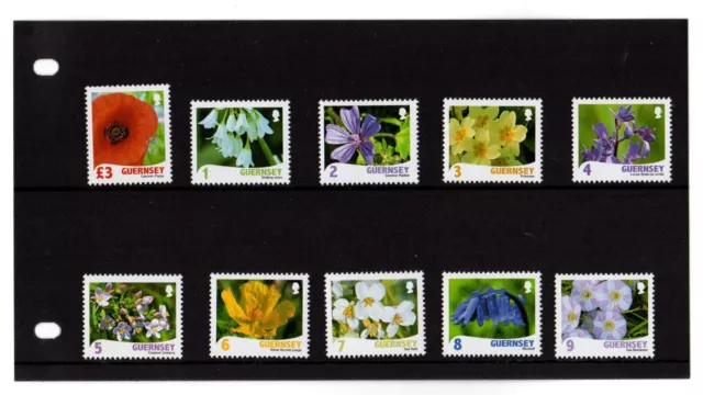 Guernsey SG 1274-1283 Raymond Evison's Wild Flora MNH 2009 Presentation Pack