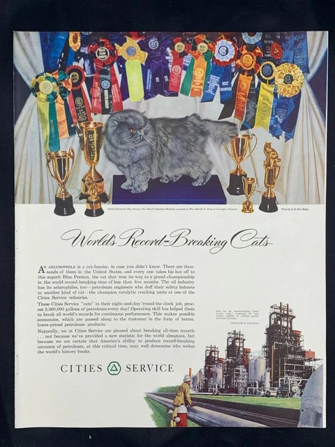 Magazine Ad* - 1951 - Cities Service Refiniries - Blue Persian cat