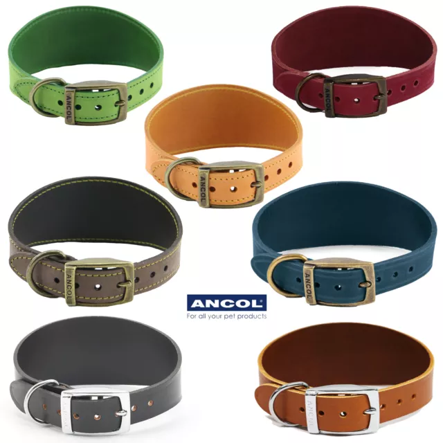 Ancol Whippet Greyhound Lurcher Bridle Leather Dog Collar Timberwolf Heritage