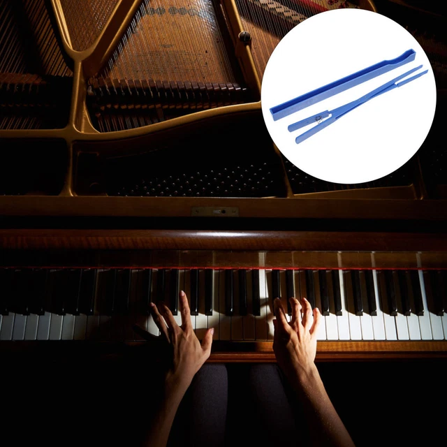 Diapason 440Hz Con Cassa Di Risonanza - Set Per Esperimenti Scientifici E Dimostrazioni Scuola - Foto 2