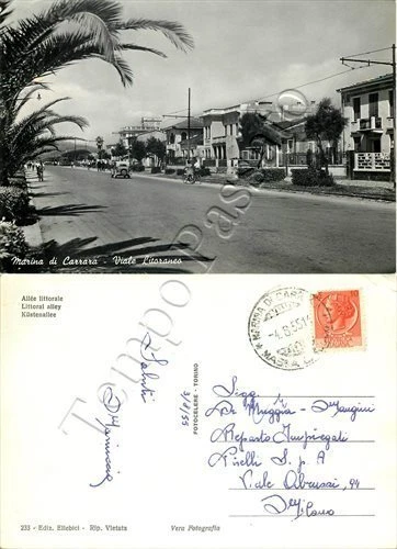 Cartolina di Marina di Carrara, viale con palme - Massa Carrara, 1955