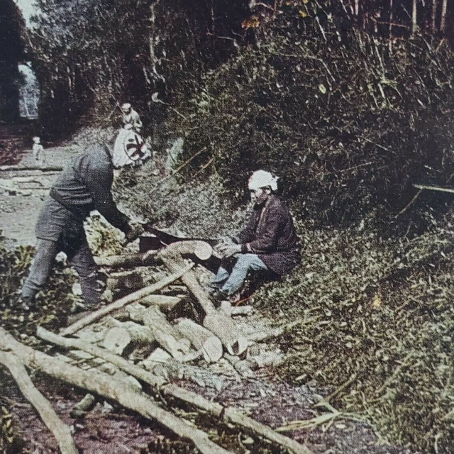 Japanese Lumberjacks Stereoview c1905 Japan Lumber Wood Asian Men Sawing JP M473