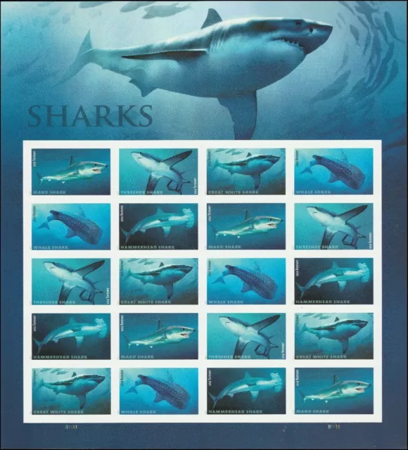 US #5223-5226 MNH M/S 2017 Mako Thresher Whale Hammerhead Sharks [Pos 6]