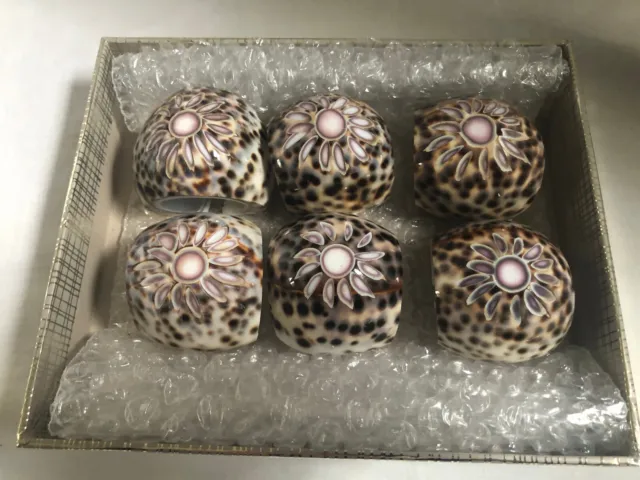 VINTAGE Set of 6 Napkin Ring Holders Natural Tiger Cowrie Spotted Sea Shell