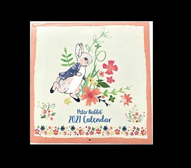 PETER RABBIT 2021 Calendar with Nice Cute Photos Fast Delivery £3.00