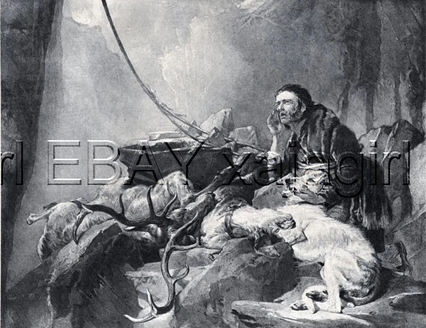 DOG Scottish Deerhound, Sir Edwin Landseer Antique Collotype Print 1870s