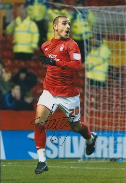 Marcus TUDGAY Signed 12x8 Photo AFTAL COA Autograph Nottingham Forest