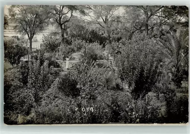 13947663 - Plantage Kolonien Deutsch Suedwestafrika