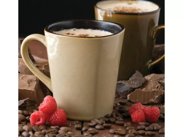 Chocolate Raspberry Cappuccino Mix Mixes 2 Pounds Free Shipping