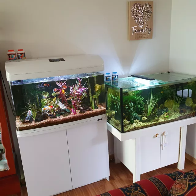 two fish aquariums, one cold water (Aqua One) & one tropical (No brand)