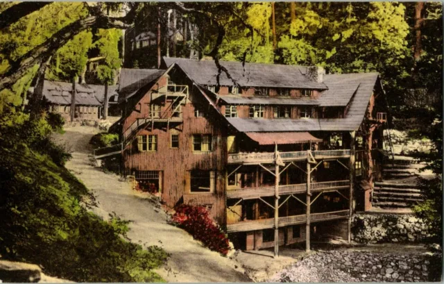 Postcard Albertype Oregon Caves Chateau Oregon A11