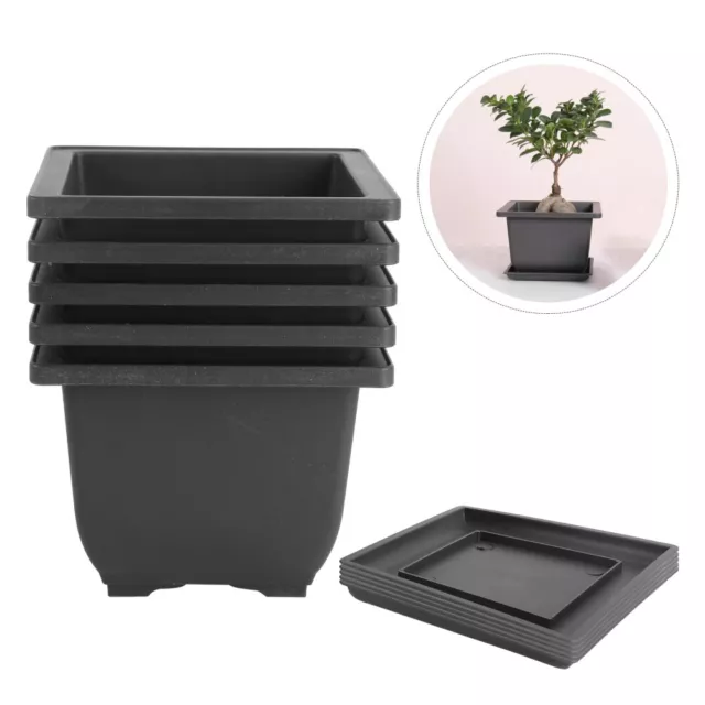 5 Set 5 Inch Square Planting Pots for Succulents and -JN