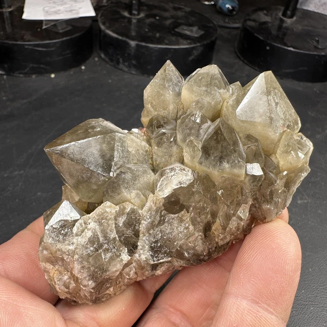 Irradiated Phantom Green Citrine Quartz Crystal Cluster / Georgia Location 2