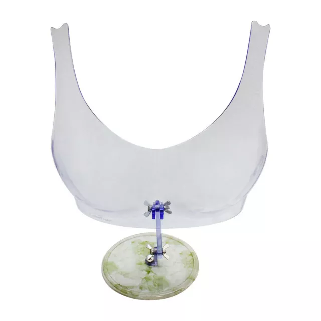 Free Standing Clear Plastic Bra Form Bikini Lingerie Display Adjustable Stand