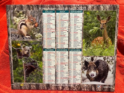 CALENDRIER ALMANACH DU Facteur La Poste 2023 Animaux sauvages sanglier
