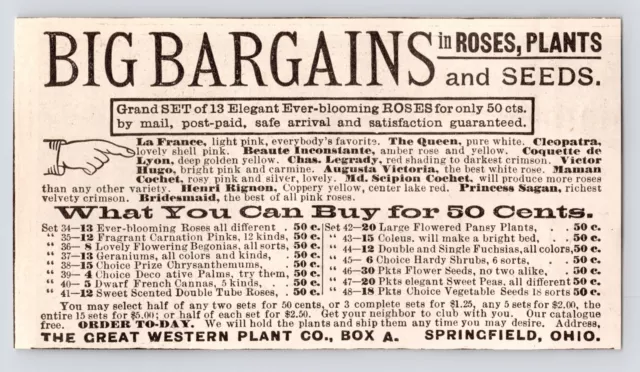 c1880s Great Western Plant Co Seed & Flower Springfield Ohio OH Antique Print Ad