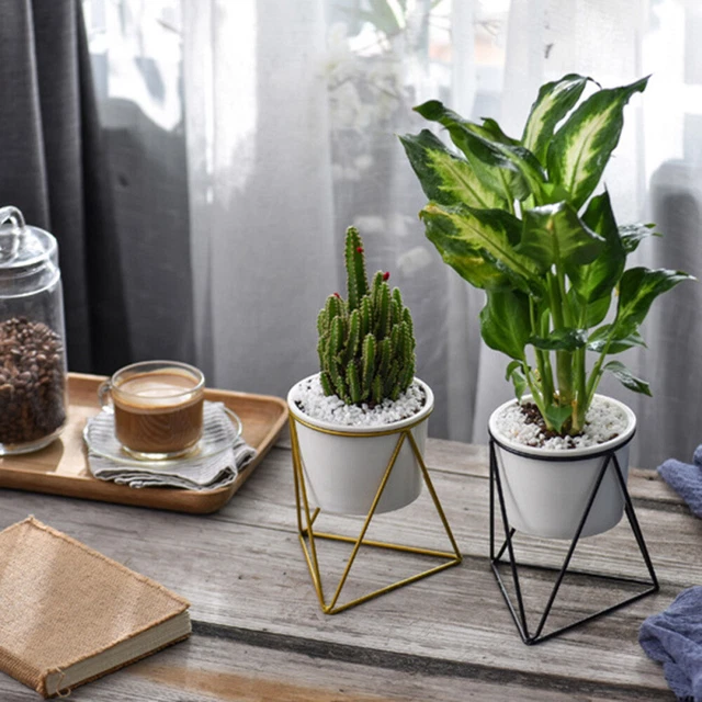 3x Porzellan Sukkulenten Pflanzer Kleine Topf Garten Keramik Blumentopf 3