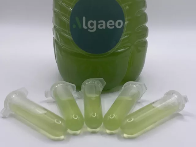 Chlorella Vulgaris (Live Algae Culture) 50ml