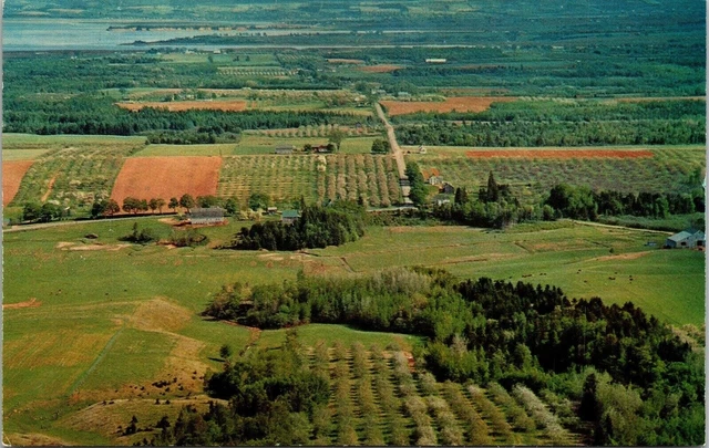 Cornwallis Valley Lookoff Wolfville Kentville NS Nova Scotia Canada Postcard UNP