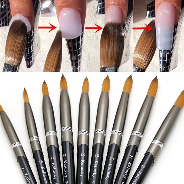 Kolinsky Arena Acrílico Arte en Uñas Cepillo Pluma Herramientas de Manicura Engarzadas Talla #8-#24 Hágalo usted mismo