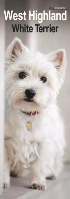 West Highland White Terrier 2024 Slim Calendar