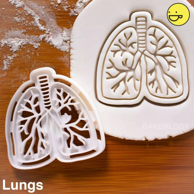 Anatomique Human Poumons Coupe Biscuit Lung Cancer Sensibilisation Pulmonaire