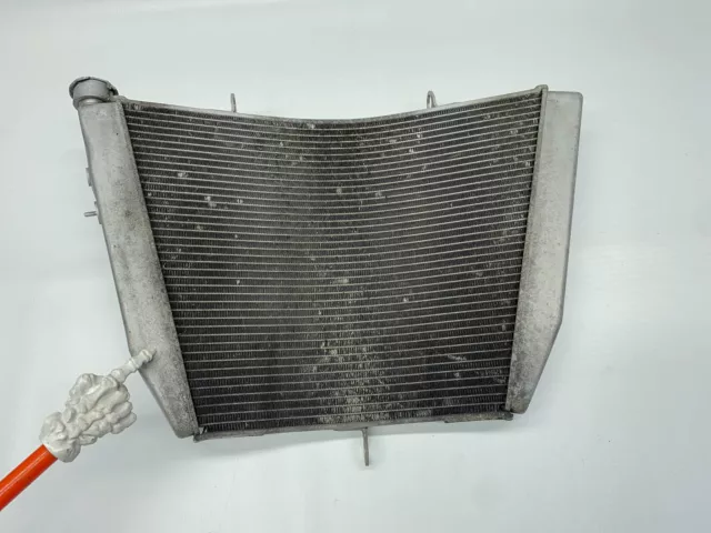 Suzuki GSXR600 K6 Wasser Kühler radiator cooler (2) 06'