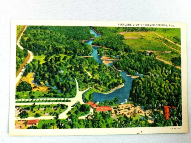 Vintage Postcard Airplane View of Silver Springs FL Florida Lake Resort