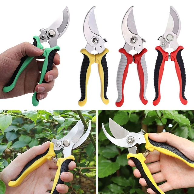 Outil de greffage de jardin Outils à main Ciseaux de jardin Pruneur greffage