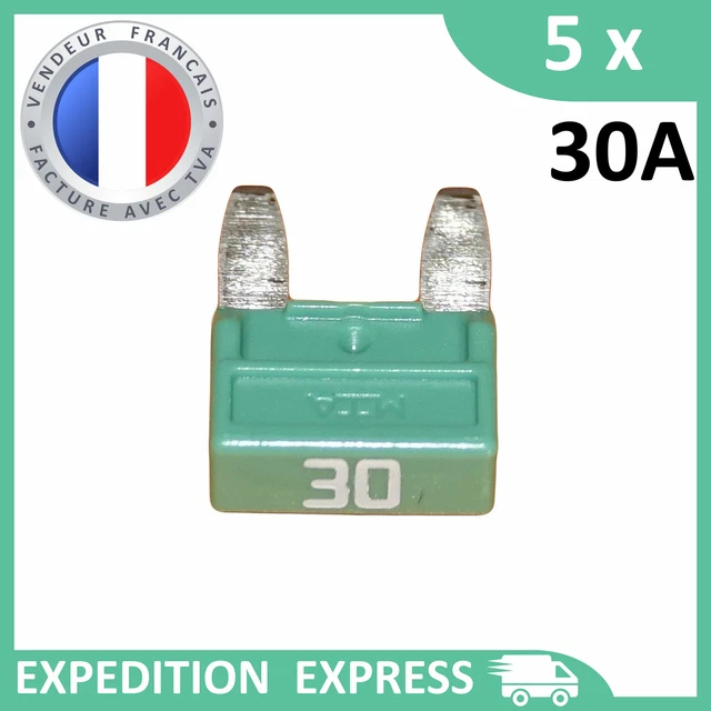 5 mini fusibles 30A auto moto à lame vert