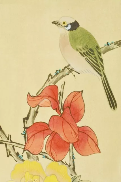 CHINESE PAINTING HANGING SCROLL China 53.1" Picture Bird Flower From Japan c374