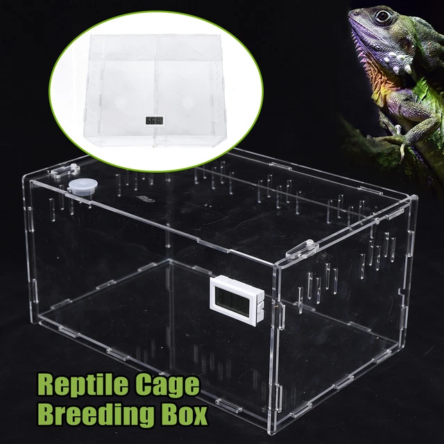 Acrylic Feeding Box Reptile Breeding Tank Insect Spider Turtle Cage Lizard New