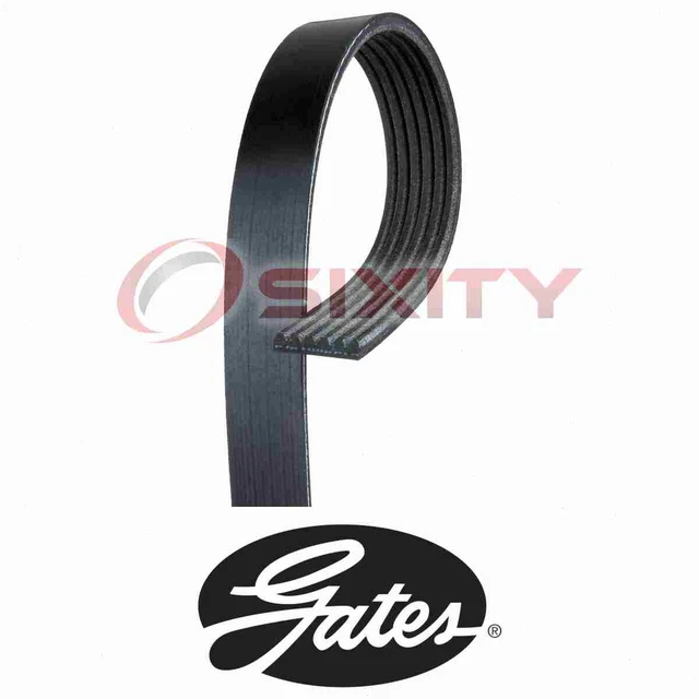 For Dodge Dakota GATES MICRO-V Serpentine Belt 3.7L 4.7L V6 V8 2000-2007 jv