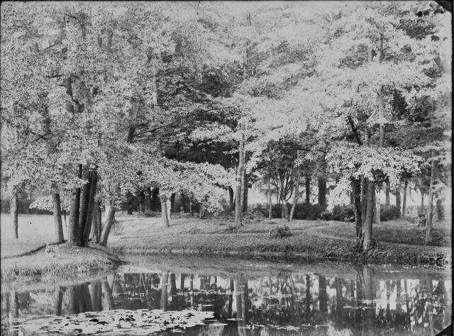 18x24cm Lake Landscape Park Negative Photo Glass Plate, Black & White Vintage