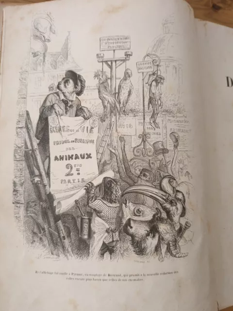 Scènes De La Vie Des Animaux Granville Ed J.Hetzel 1842 Paris Illustrées