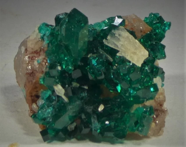 Dioptas aus Namibia