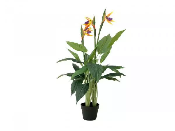 EUROPALMS Strelitzia,Plantes Artificielles,90cm